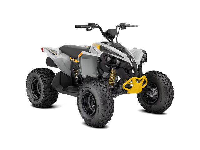 Renegade 110 EFI